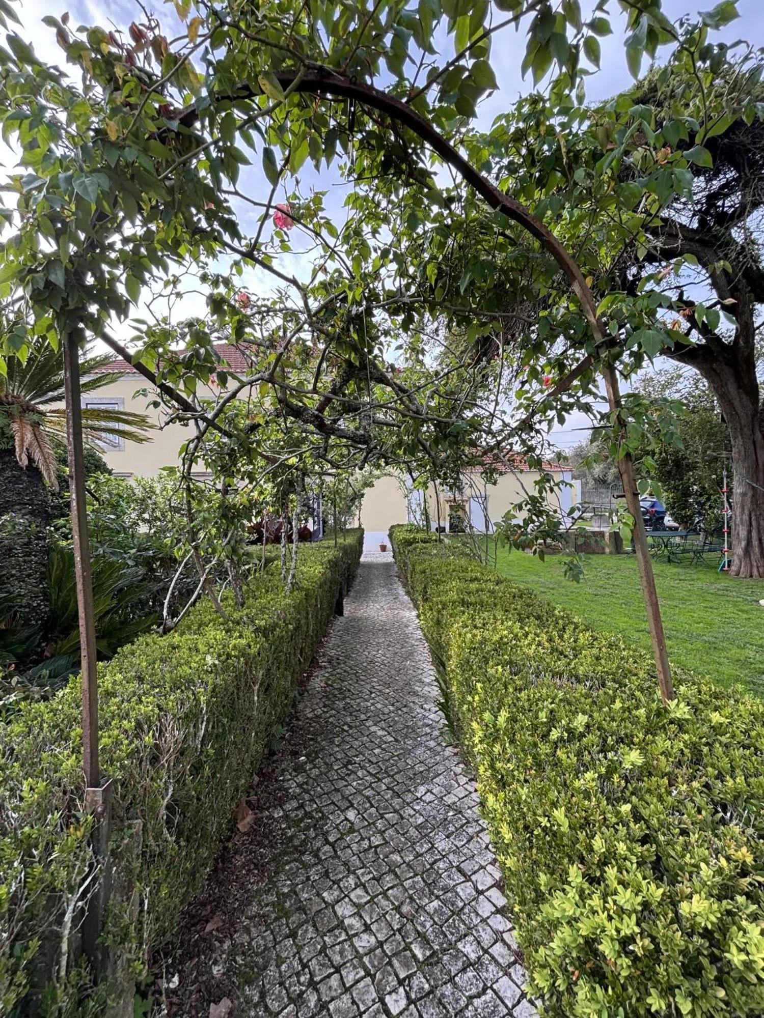 Bed and Breakfast Quinta Do Scoto Sintra Exterior foto